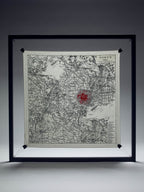 Printed Twill Foulard