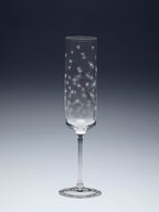 Spider Crystal Set of 6 Flute