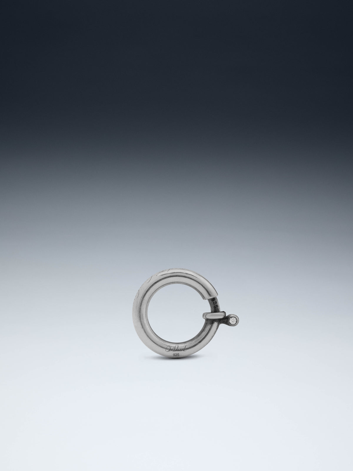 Rounded Small Carabiner