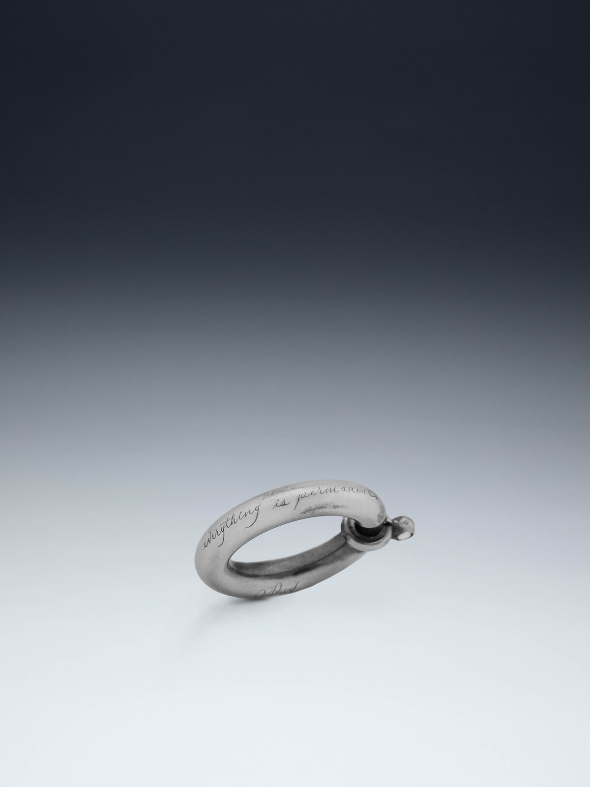 Rounded Small Carabiner