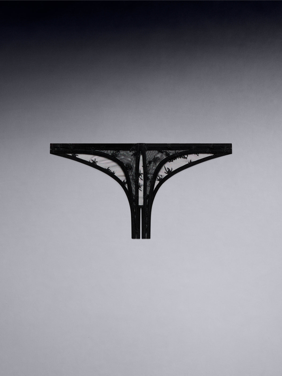 Spider Pleasure String